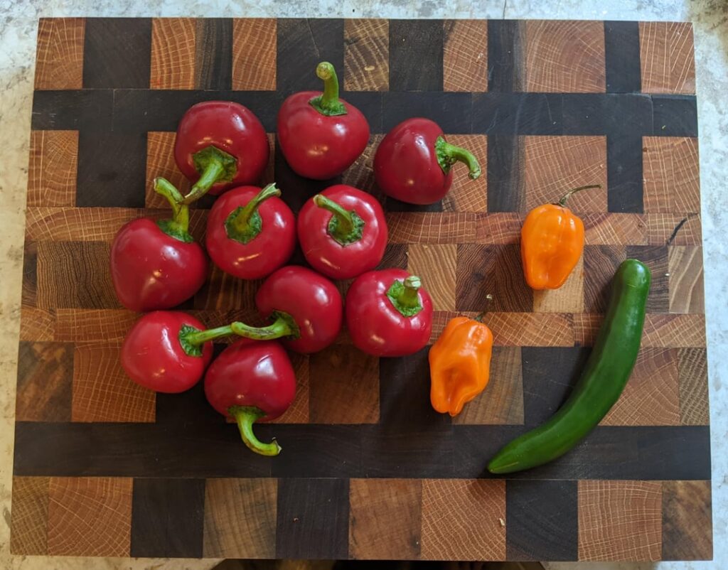 Ever heard of Cherry Bombs? Highly recommend.