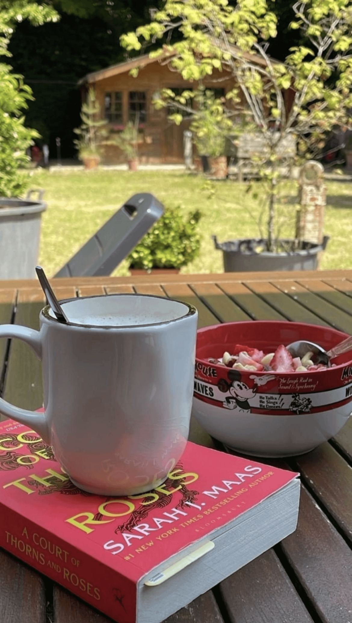 Beautiful morning 🌻🌄