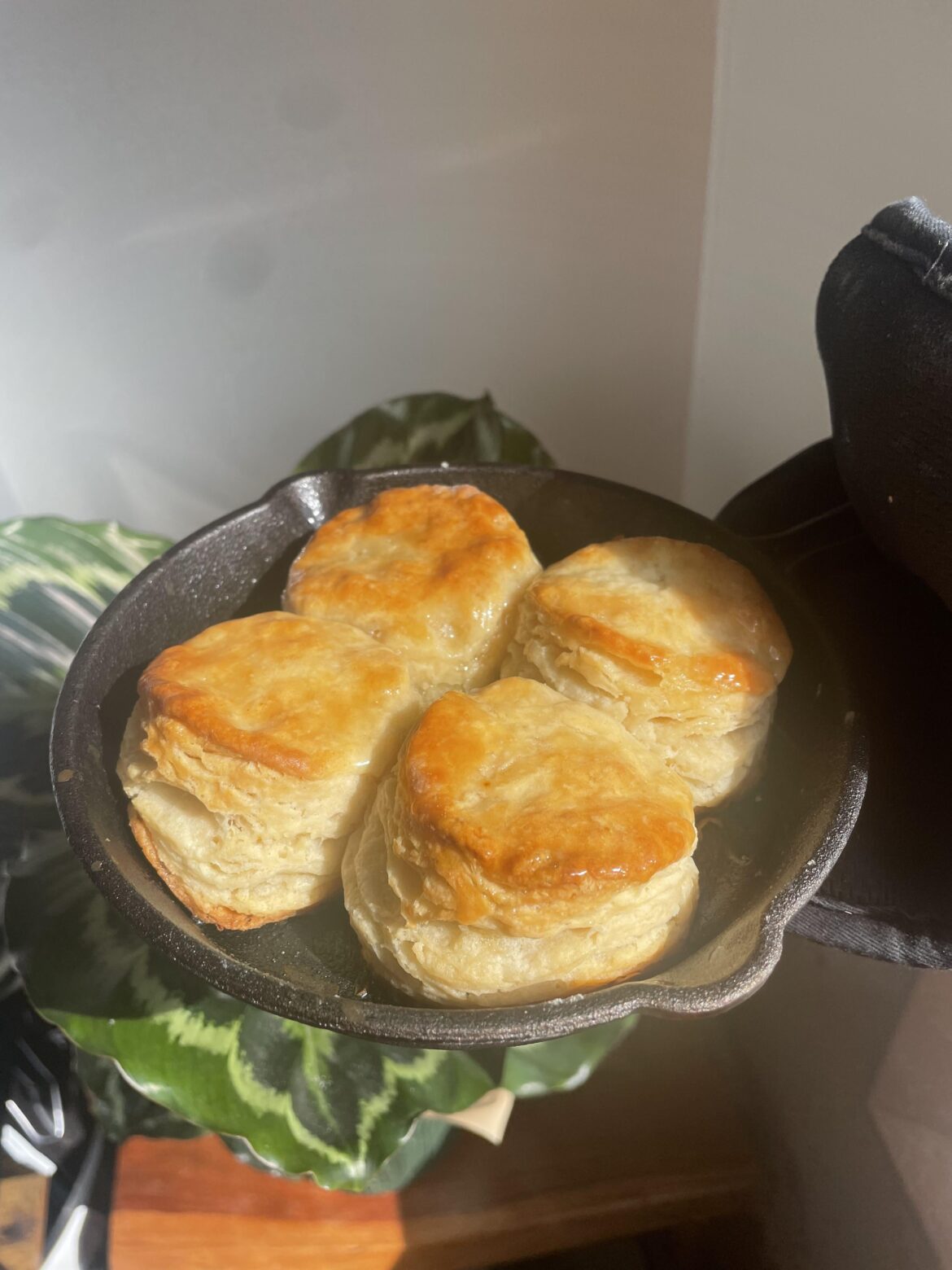 Honey butter biscuits 🧈