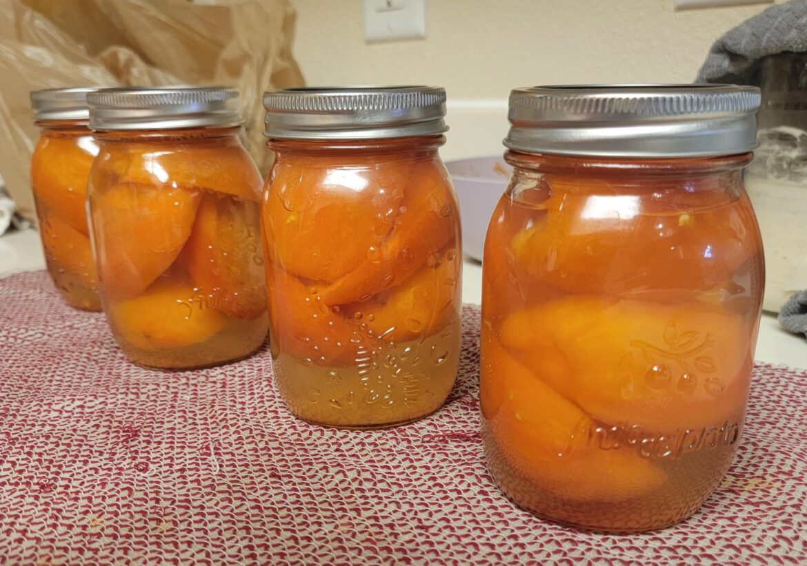 I started my cantry!