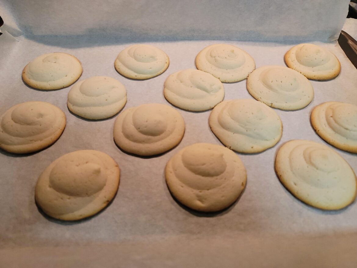 Recently received Bravetart. Help?