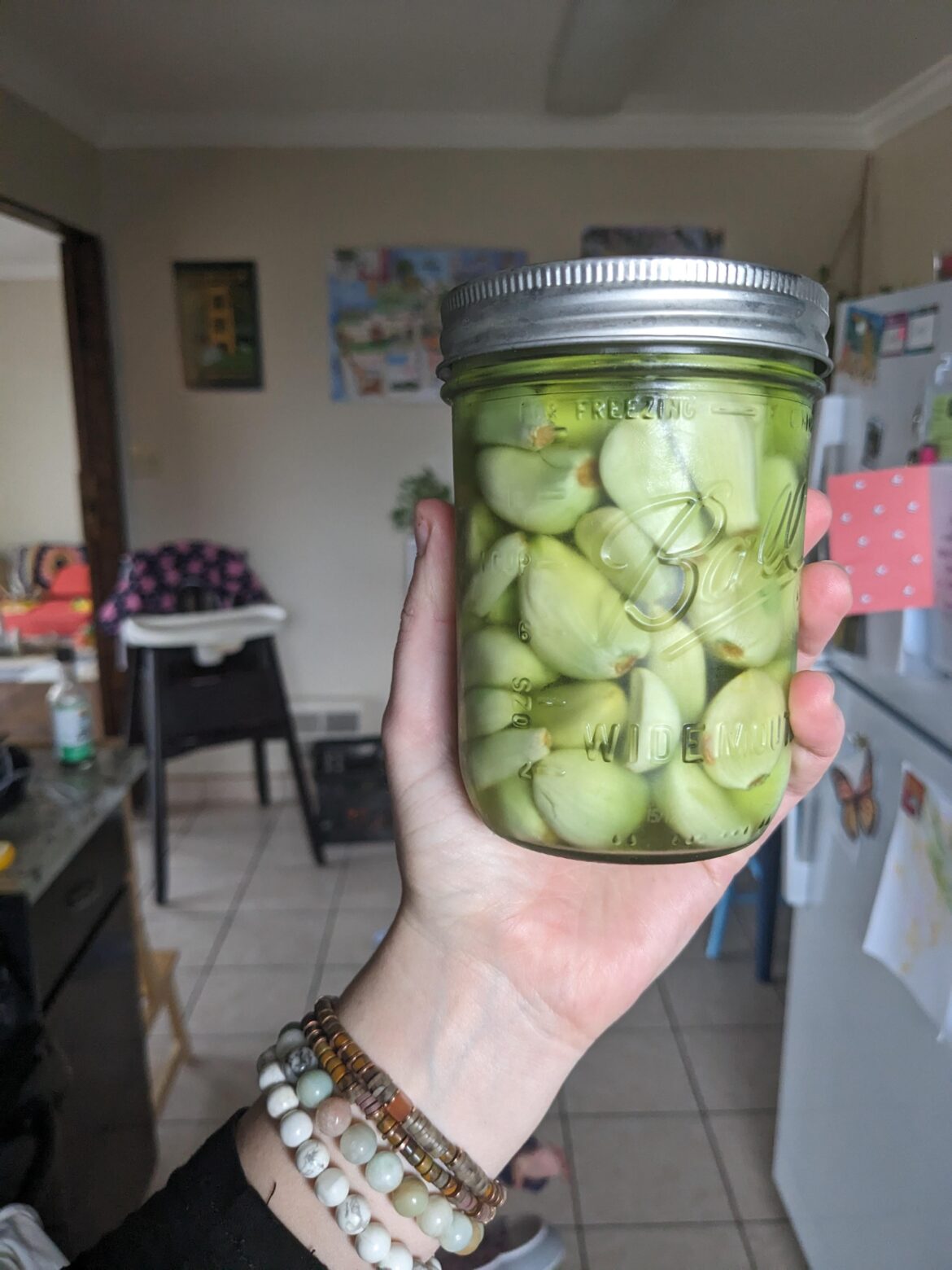 What happened to my garlic :(