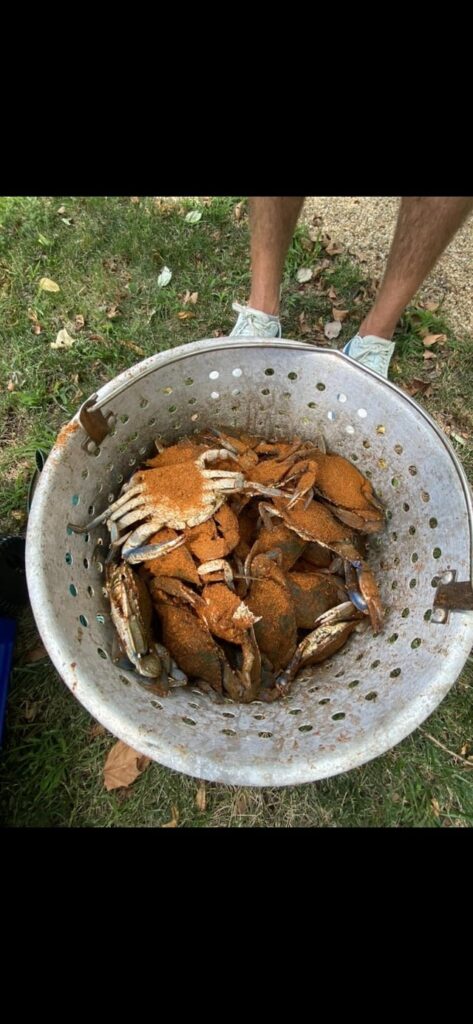 Maryland Blue Crabs