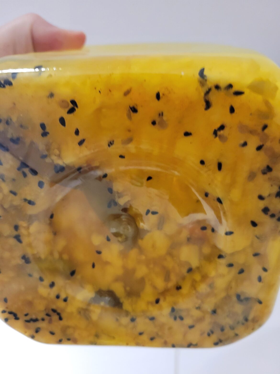 What are these black dots in the pickle?