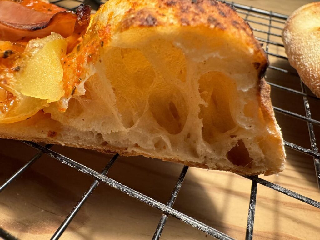 Neapolitan, poolish 100% hydration, swipe ->