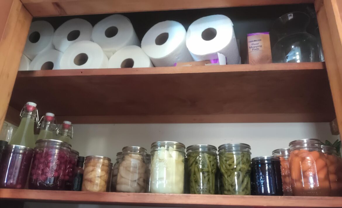 My little Cantry has grown.