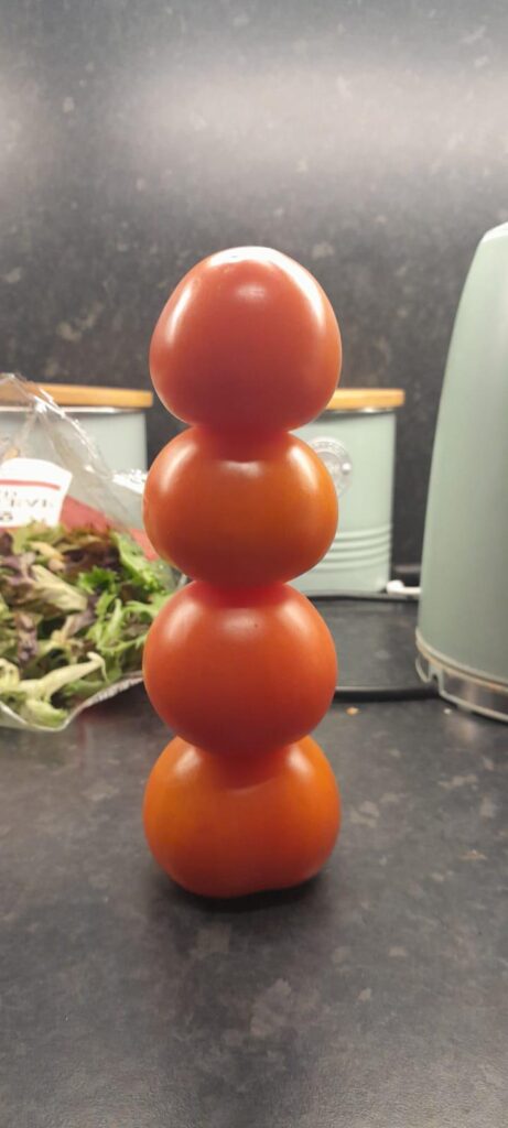 I Balanced 4 Tomatoes on top of each over!