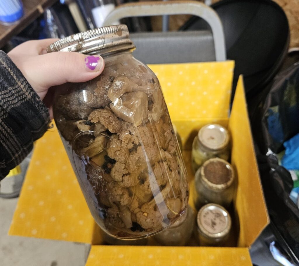 date unknown, would you try it? 😂