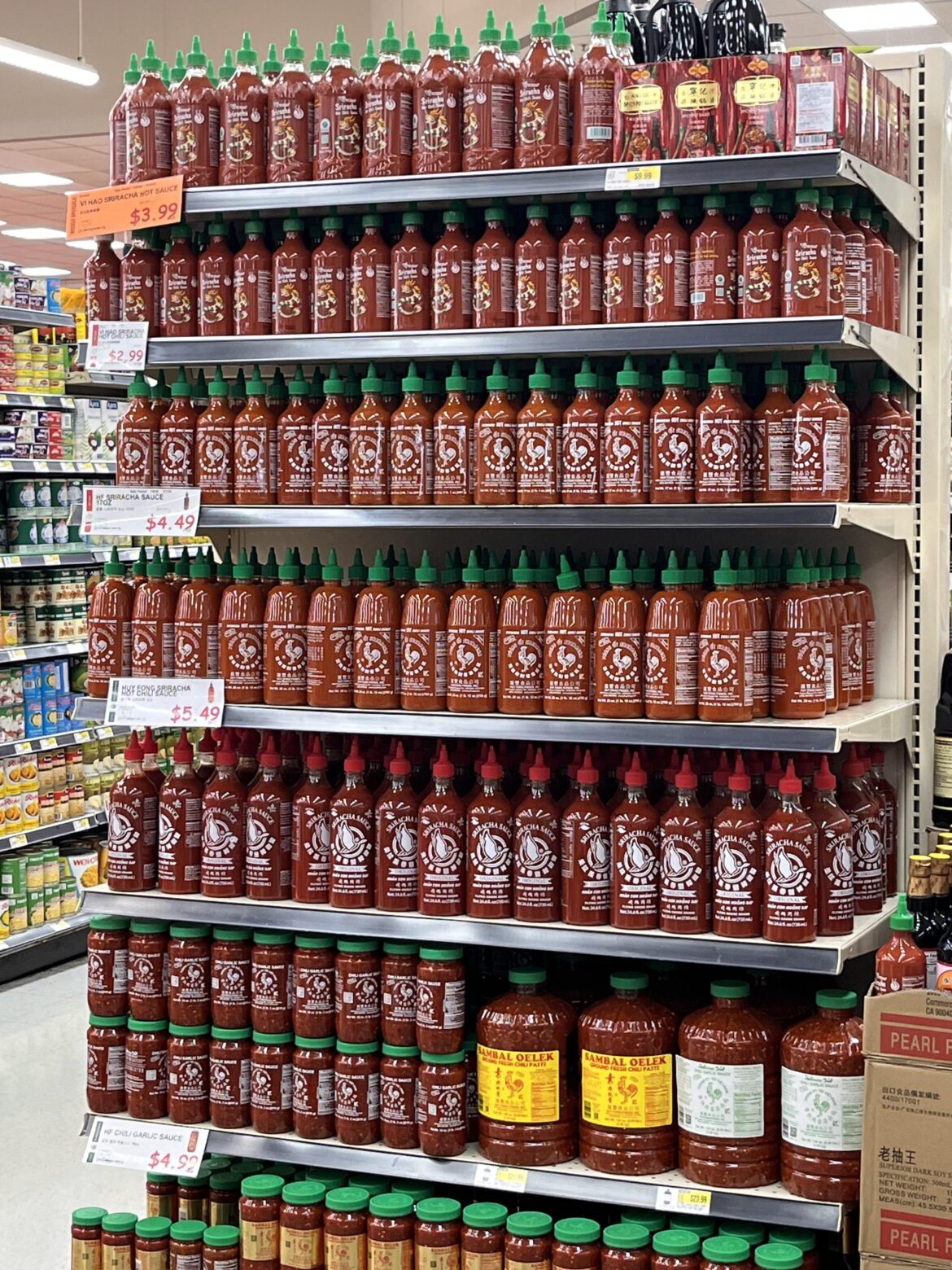 I hit the mother load!