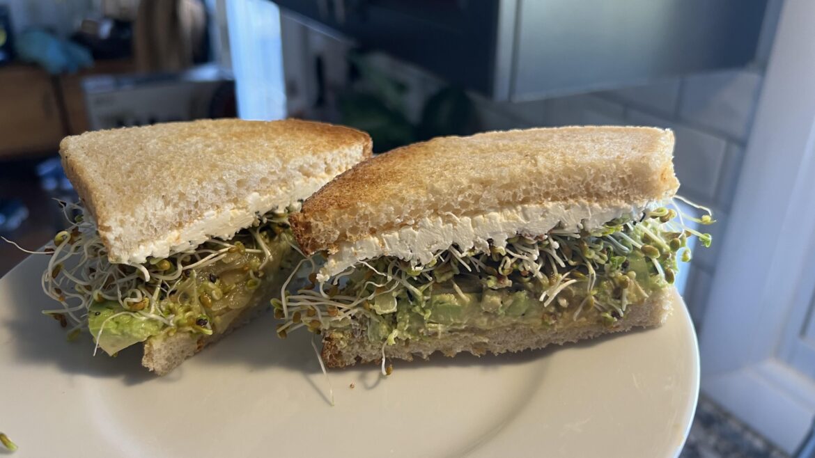 Garden breakfast sandwich with cream cheese, sprouts, balsamic onion, avocado, ebtb on toasted italian