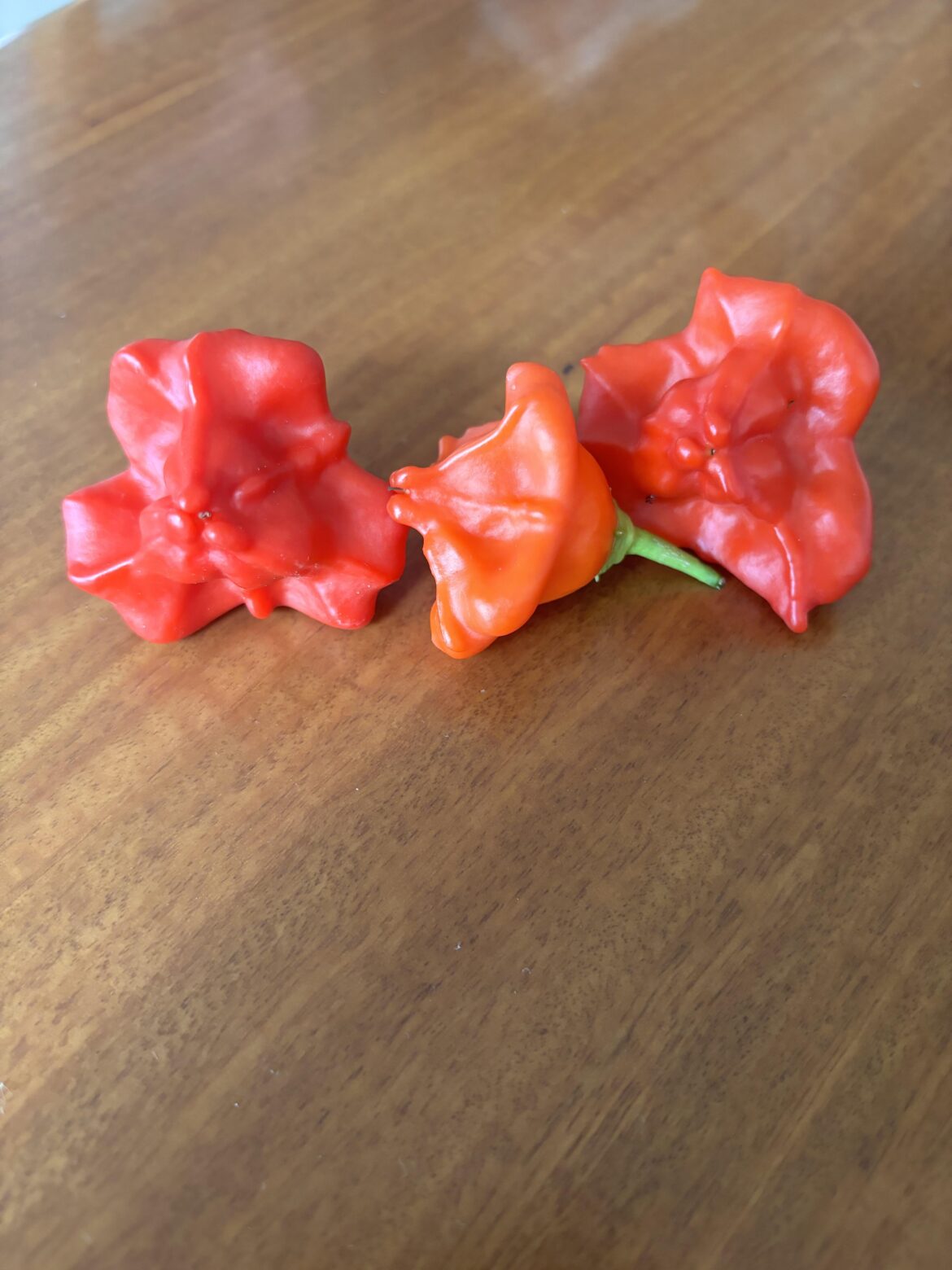 Can anyone identify these?