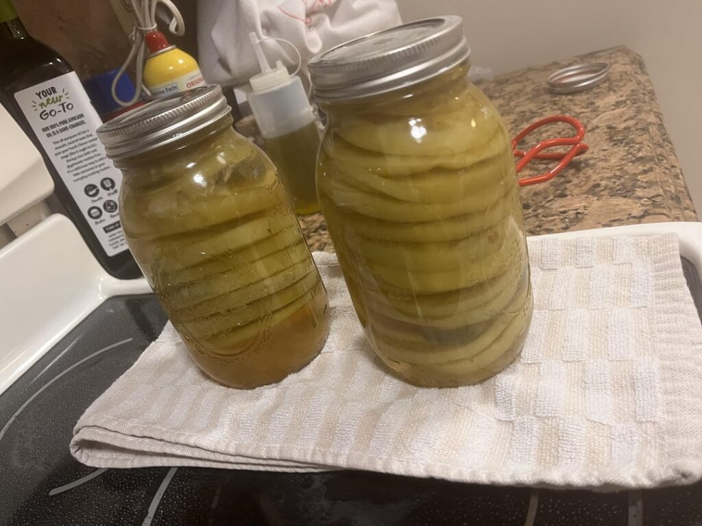 It's my first time canning and can't tell if my seal is good. They didn't dent all the way in until I pushed them and they didn't come back up. Is that still safe? Should I stick them in the fridge now?
