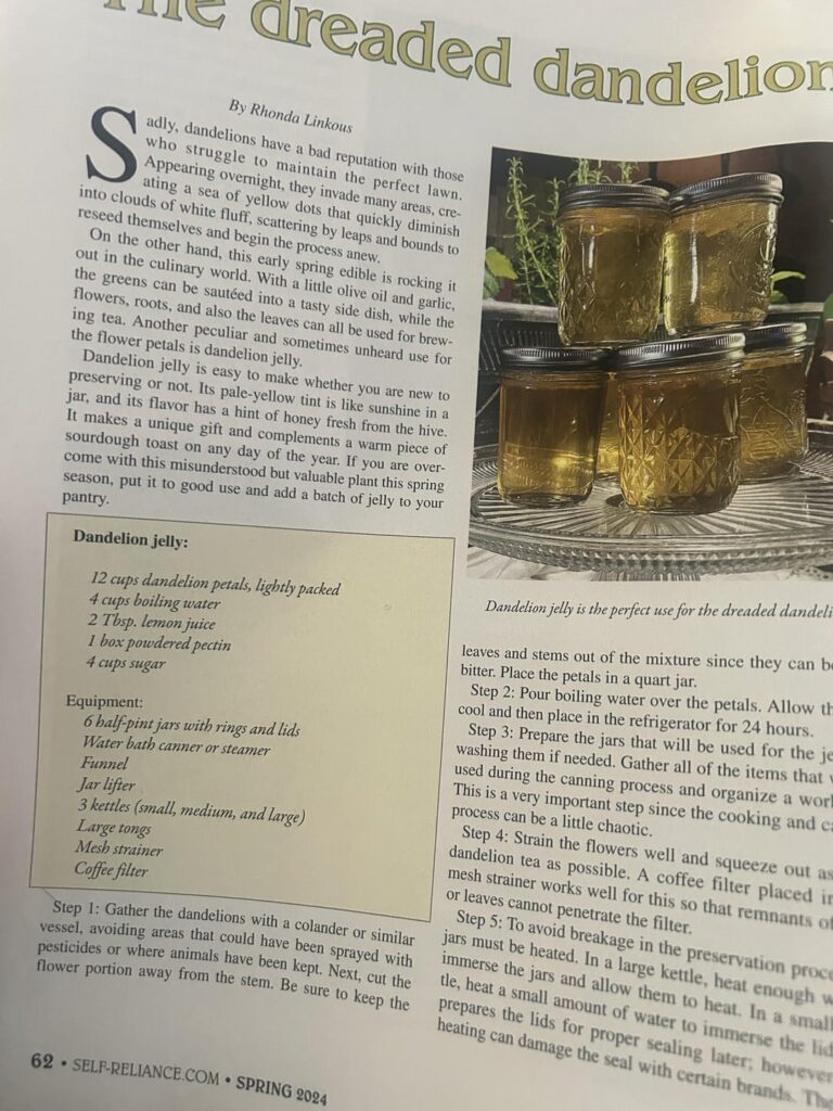 Anyone ever made this?