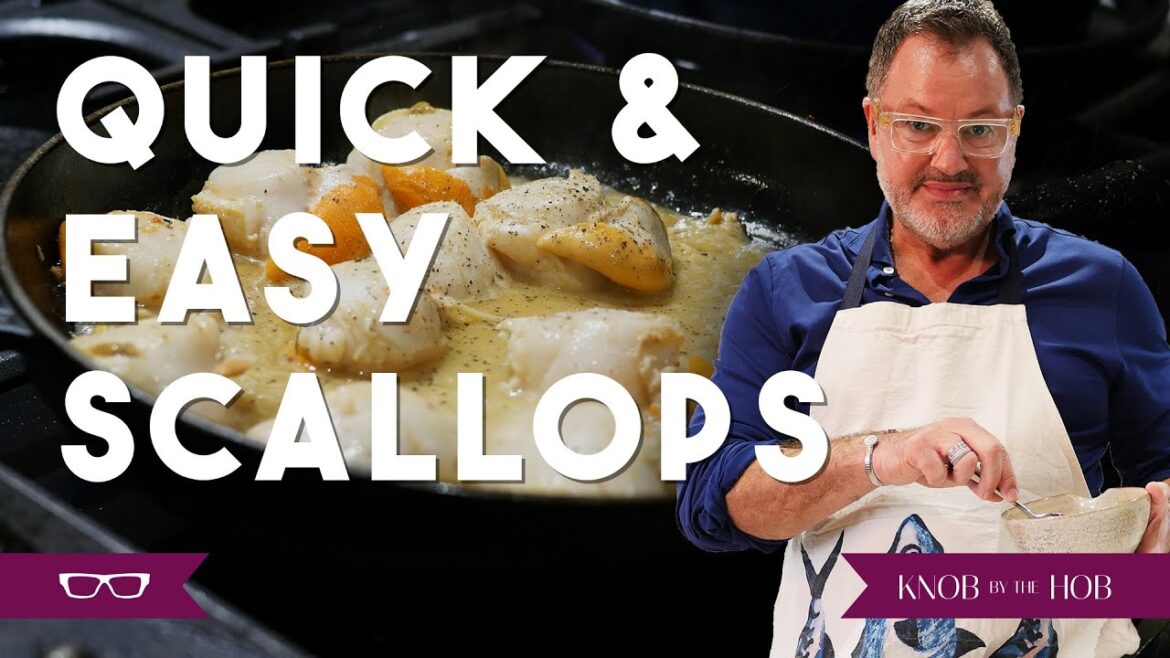 QUICK & EASY SCALLOPS RECIPE | KNOB BY THE HOB | STEVEN DAVIES | #recipe #cook #seafood #scallops