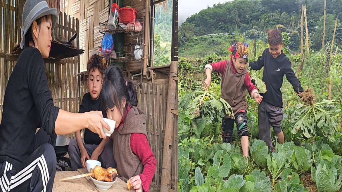 Gardening with two children – harvesting vegetables to sell at the market – cooking potato cakes! Gardening with two children - harvesting vegetables to sell at the market - cooking potato cakes!