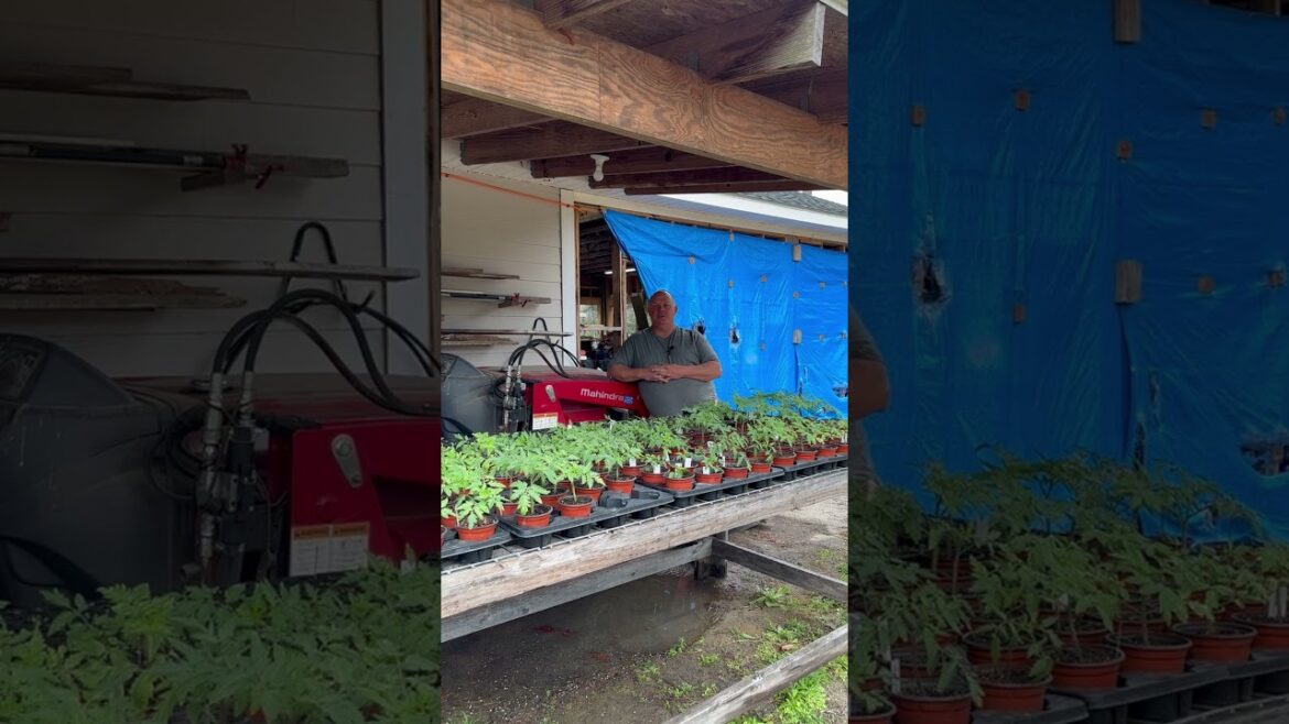 March Has Arrived! Time To Start Everything In The Garden! #shorts #farming #garden #vegetables