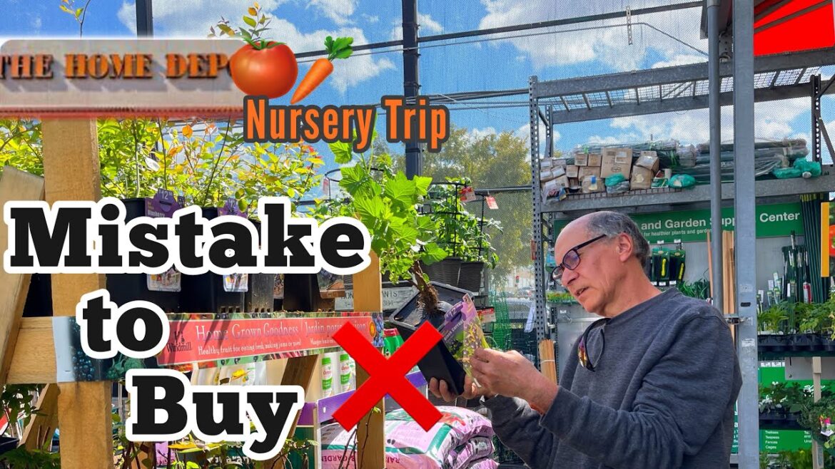 NEW Prices at Home Depot Nursery Garden Trip BE AWARE on Vegetable Plants & Flowers Tomatoes Peppers