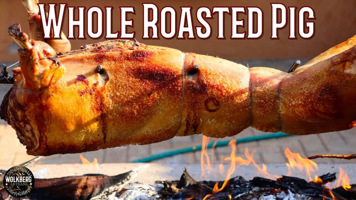 Whole roasted pig seasoned with Salt & Chilli oil | Fire cooking | Braai | Whole hog rotisserie Whole roasted pig seasoned with Salt & Chilli oil | Fire cooking | Braai | Whole hog rotisserie