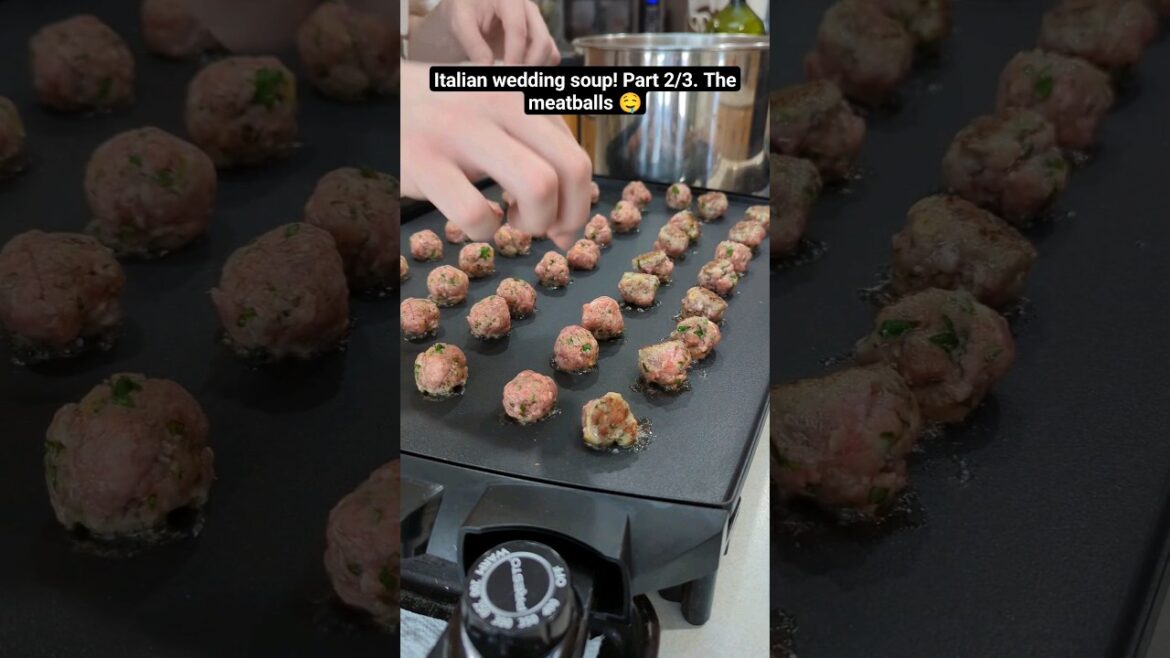 Italian wedding soup! Part 2/3! The meatballs!
