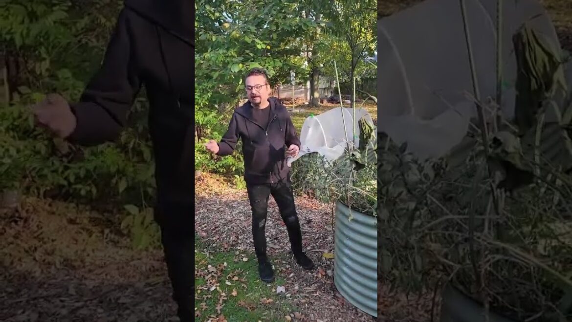 Beef Stew - Leftover steak idea #beefstew, #crockpotcooking, #leftoverrecipe