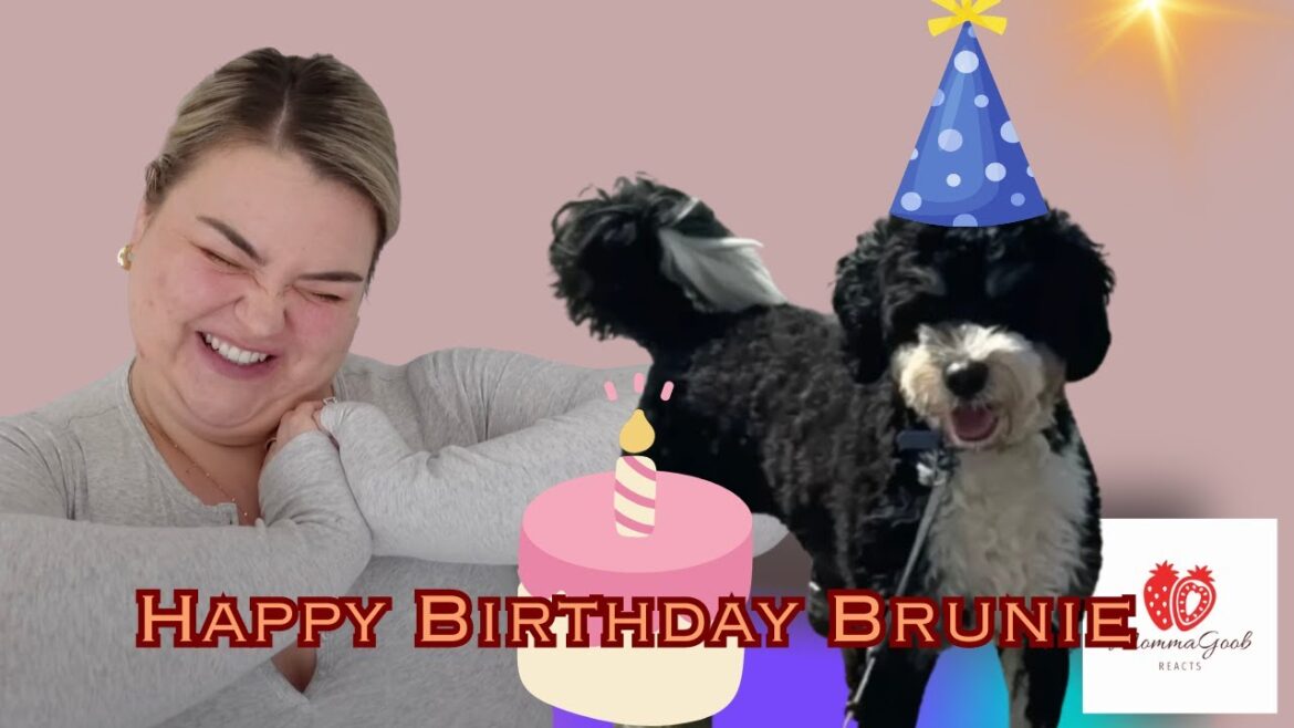 Finally, An Alexandra Rodriguez Vlog That Features Bruno! (kind of) Finally, An Alexandra Rodriguez Vlog That Features Bruno! (kind of)