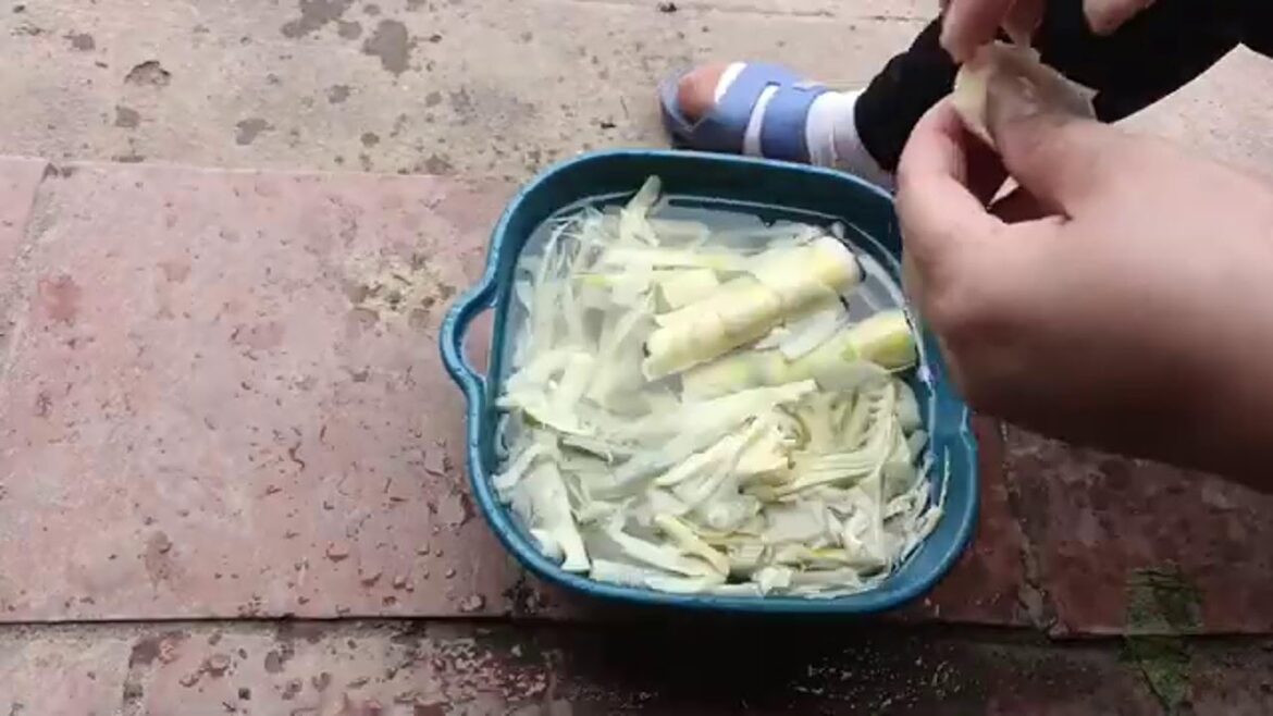 Processing duck meat, taking care of vegetable garden - Thu Hien Farm