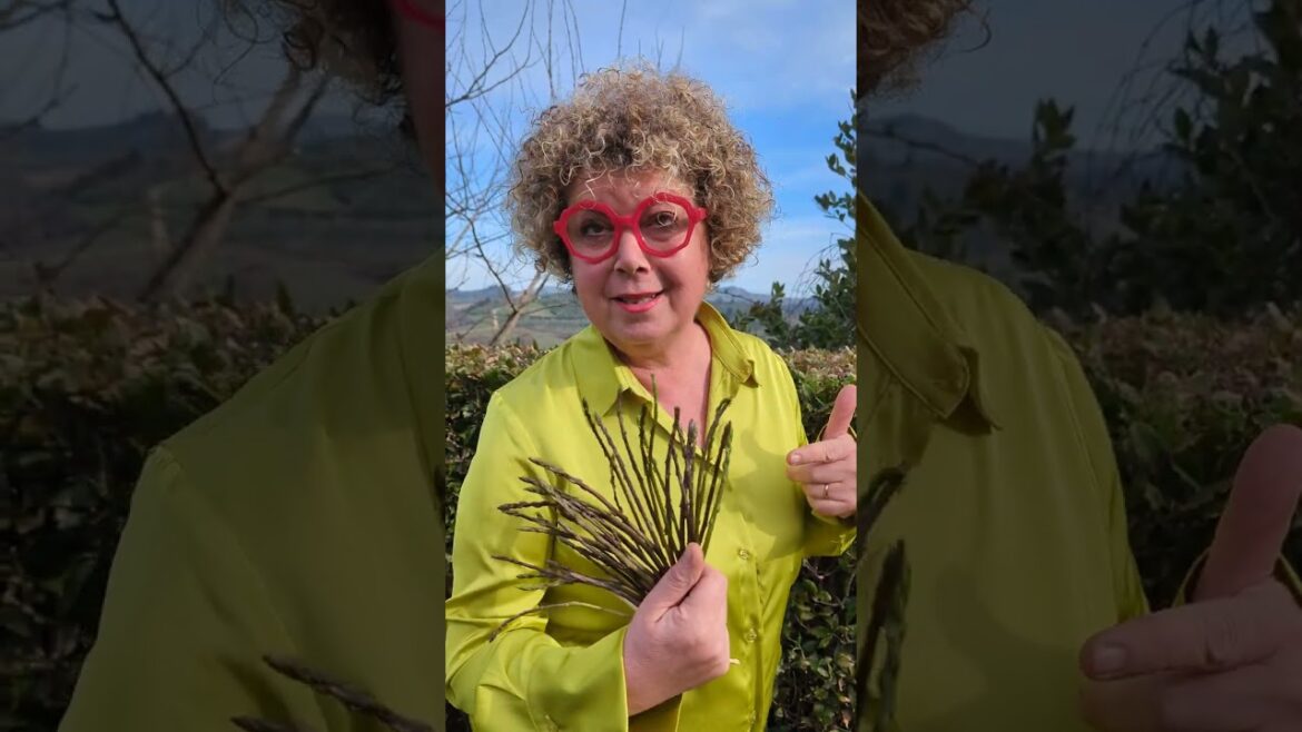 WILD ASPARAGUS RISOTTO WITH CUCINAGIUSEPPINA WILD ASPARAGUS RISOTTO WITH CUCINAGIUSEPPINA