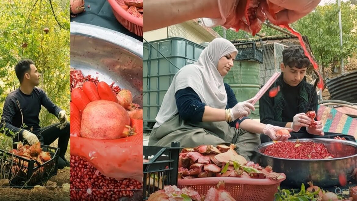 Cooking Pomegranate Molasses in the village | Molasses The Old-Fashioned Way Cooking Pomegranate Molasses in the village | Molasses The Old-Fashioned Way