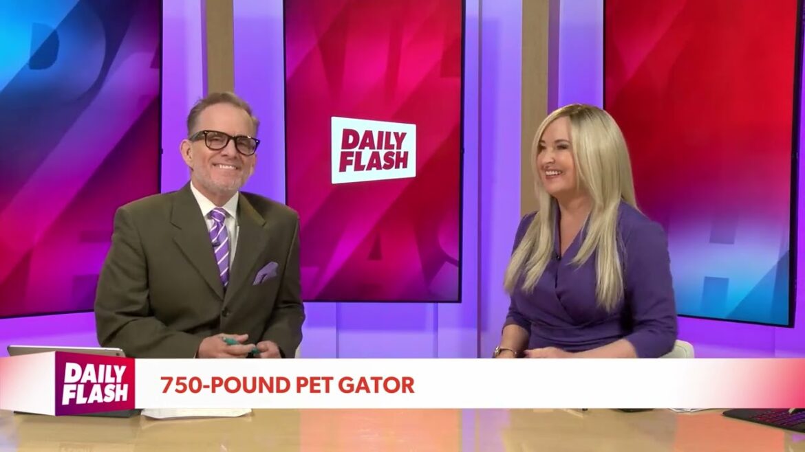 March 26th, 2024 | Daily Flash TV