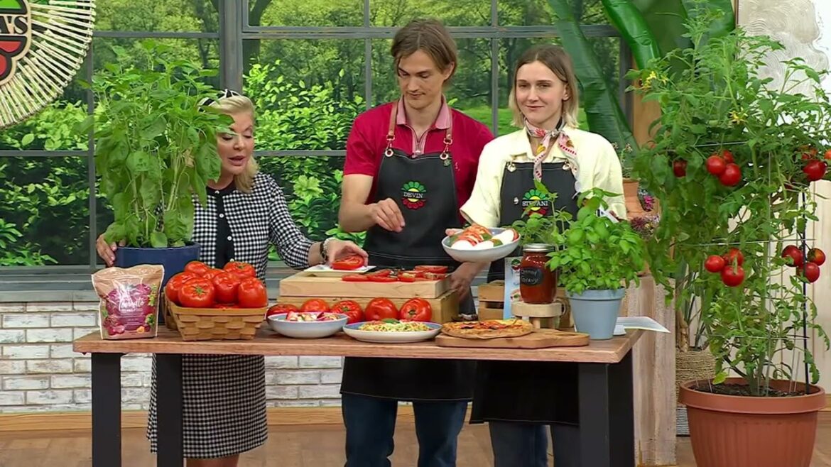 Roberta's 4pc Caprese Salad Tomato & Basil Garden Live Plants on QVC