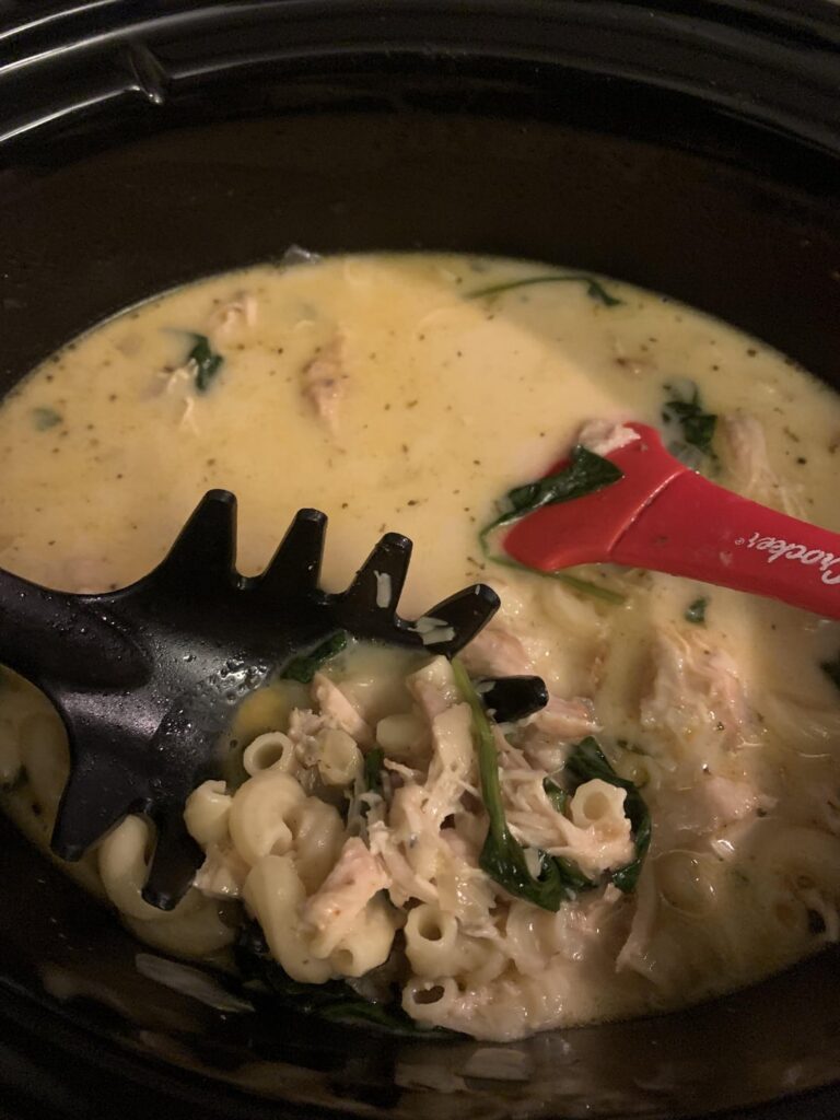 Fridge dump chicken stew