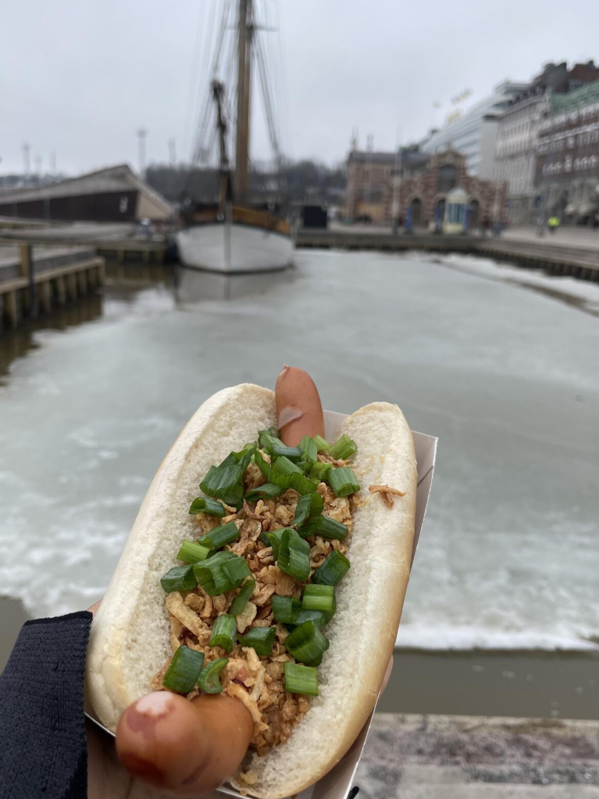 Reindeer hot dog in Helsinki