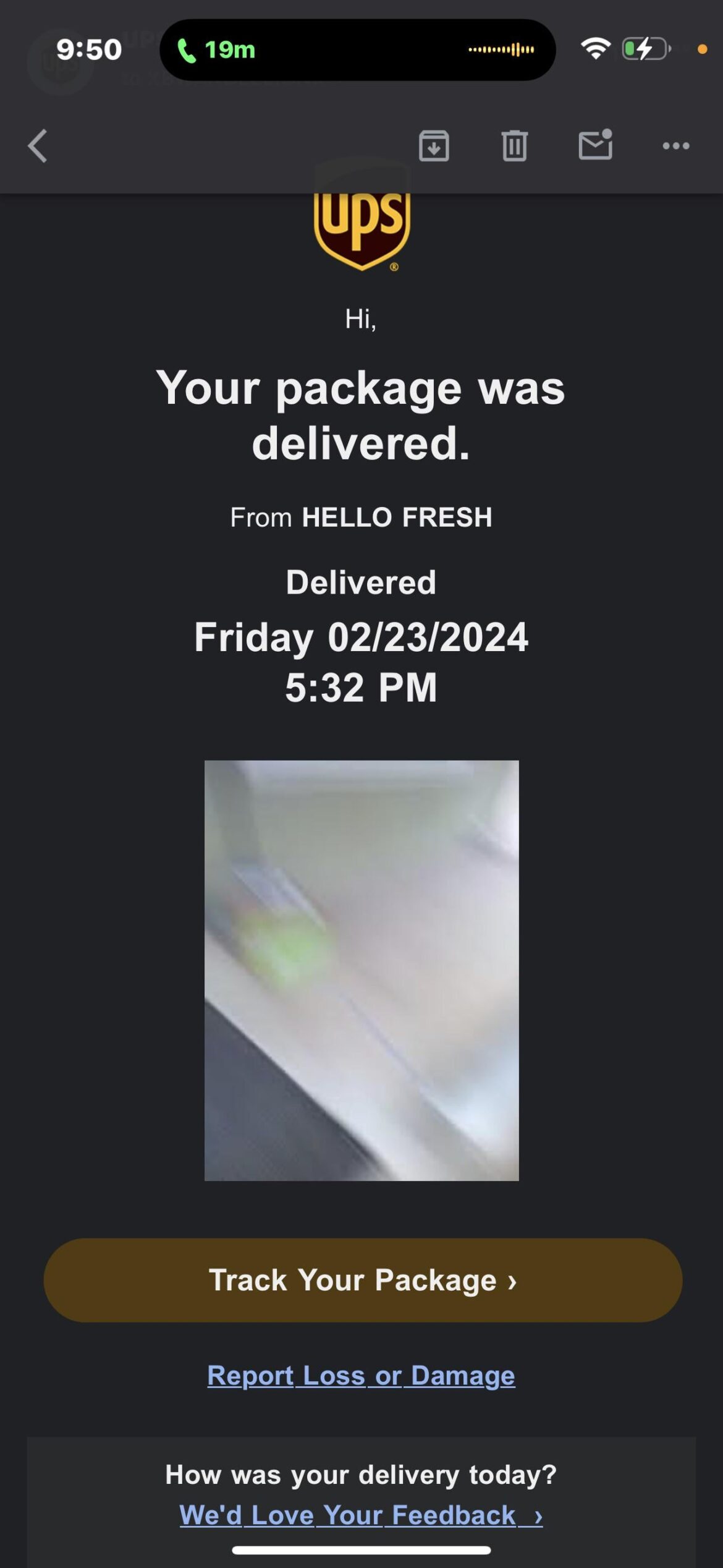 Delivery Driver: Scurrying Raccoon