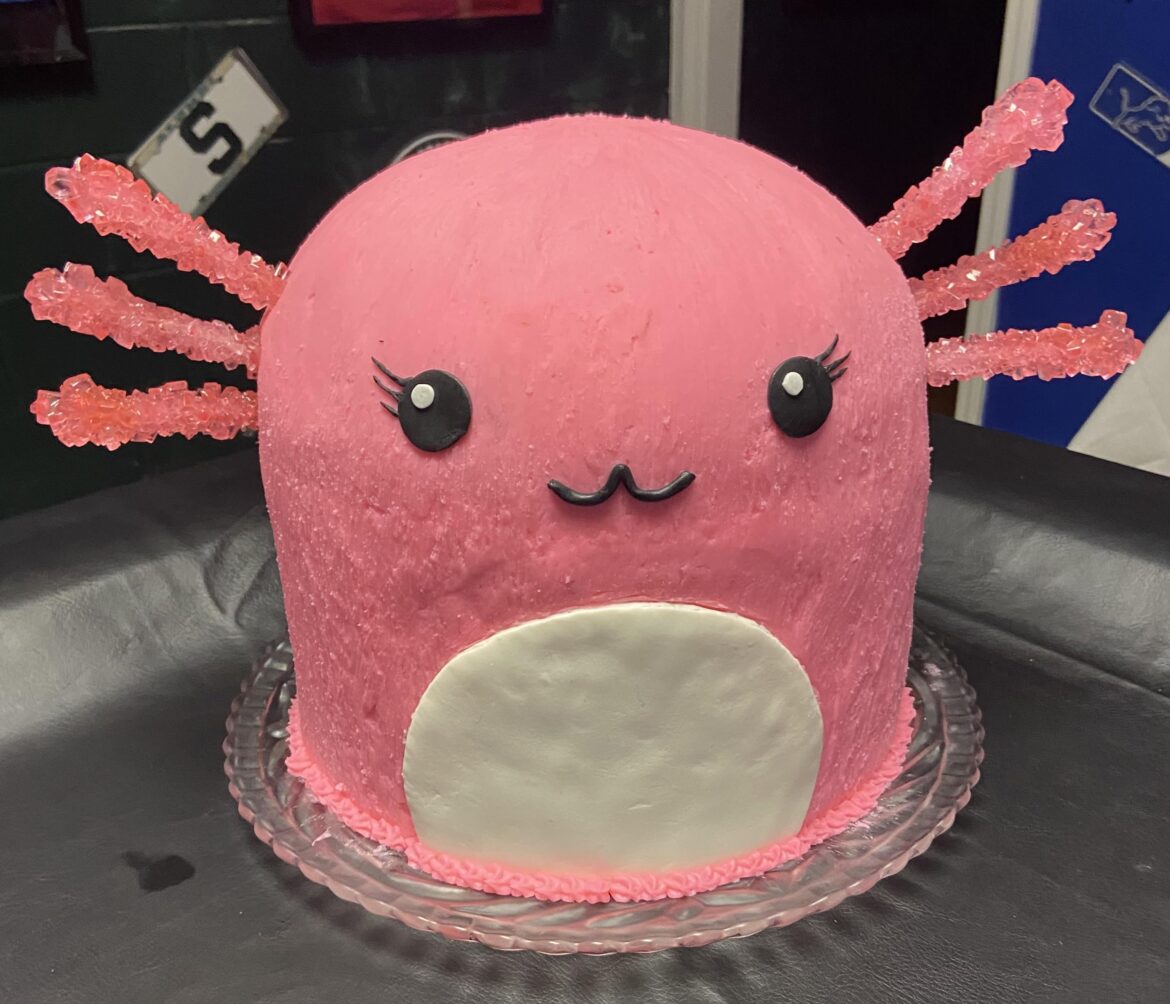 An axolotl cake? Amature cake dad to the rescue!!! Happy 7th birthday kid.