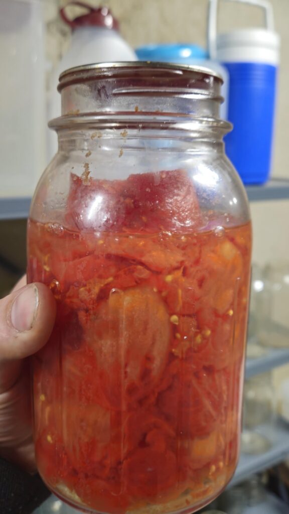 Found these jars in my father's basement.