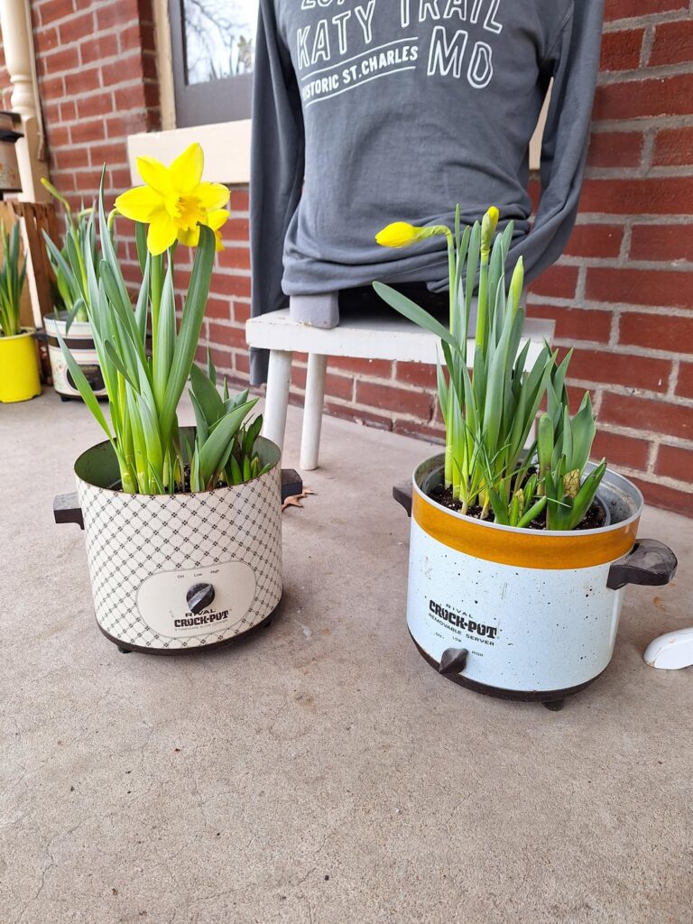 I'm not sure how I feel about this