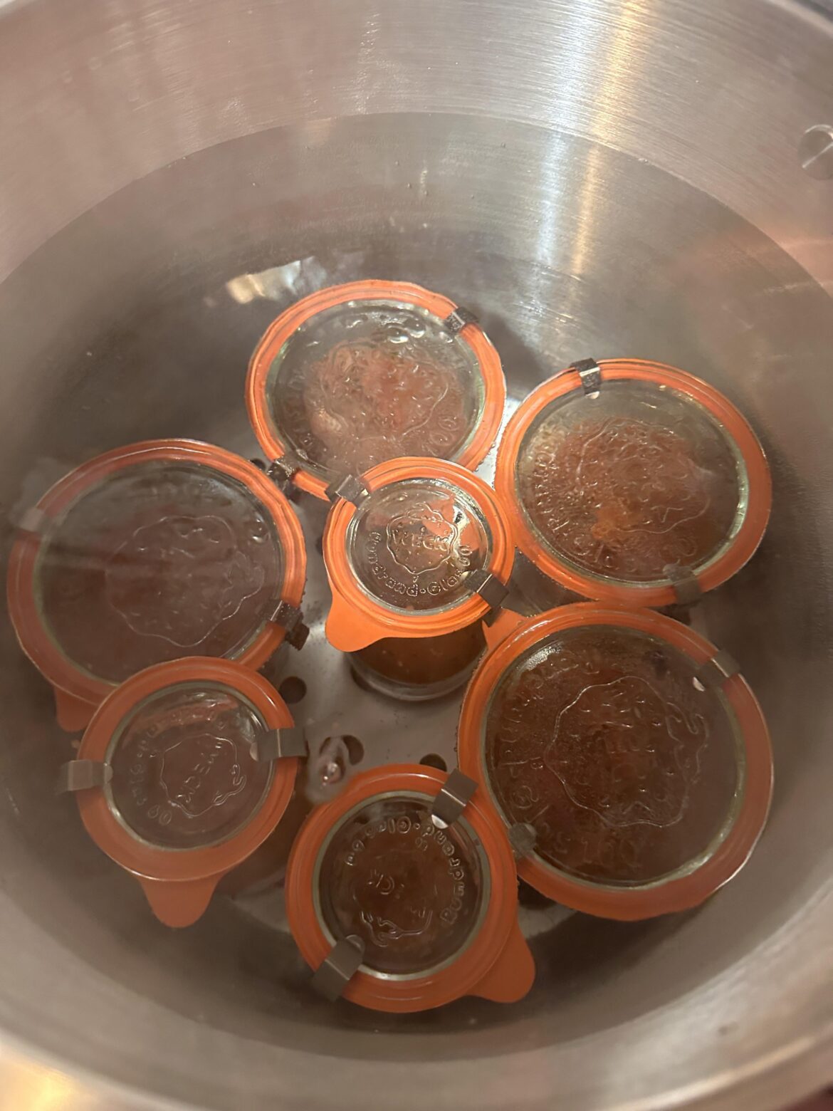 The Canning has Begun