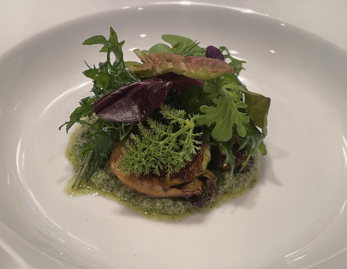 Baby savoy cabbage and arugula emulsion with radicchio.