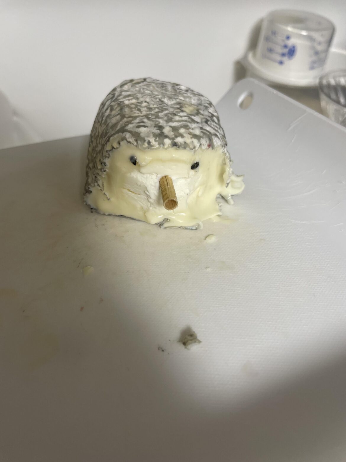 I have a pet chevrehog now