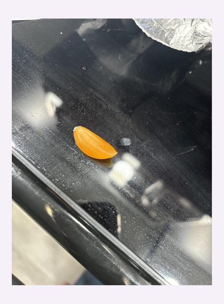 This garlic that cahe with my burgers