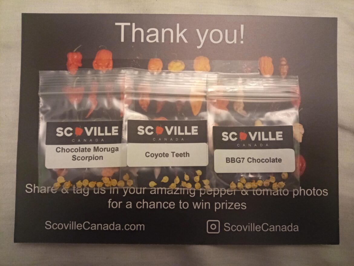 New pepper seeds courtesy of my wife