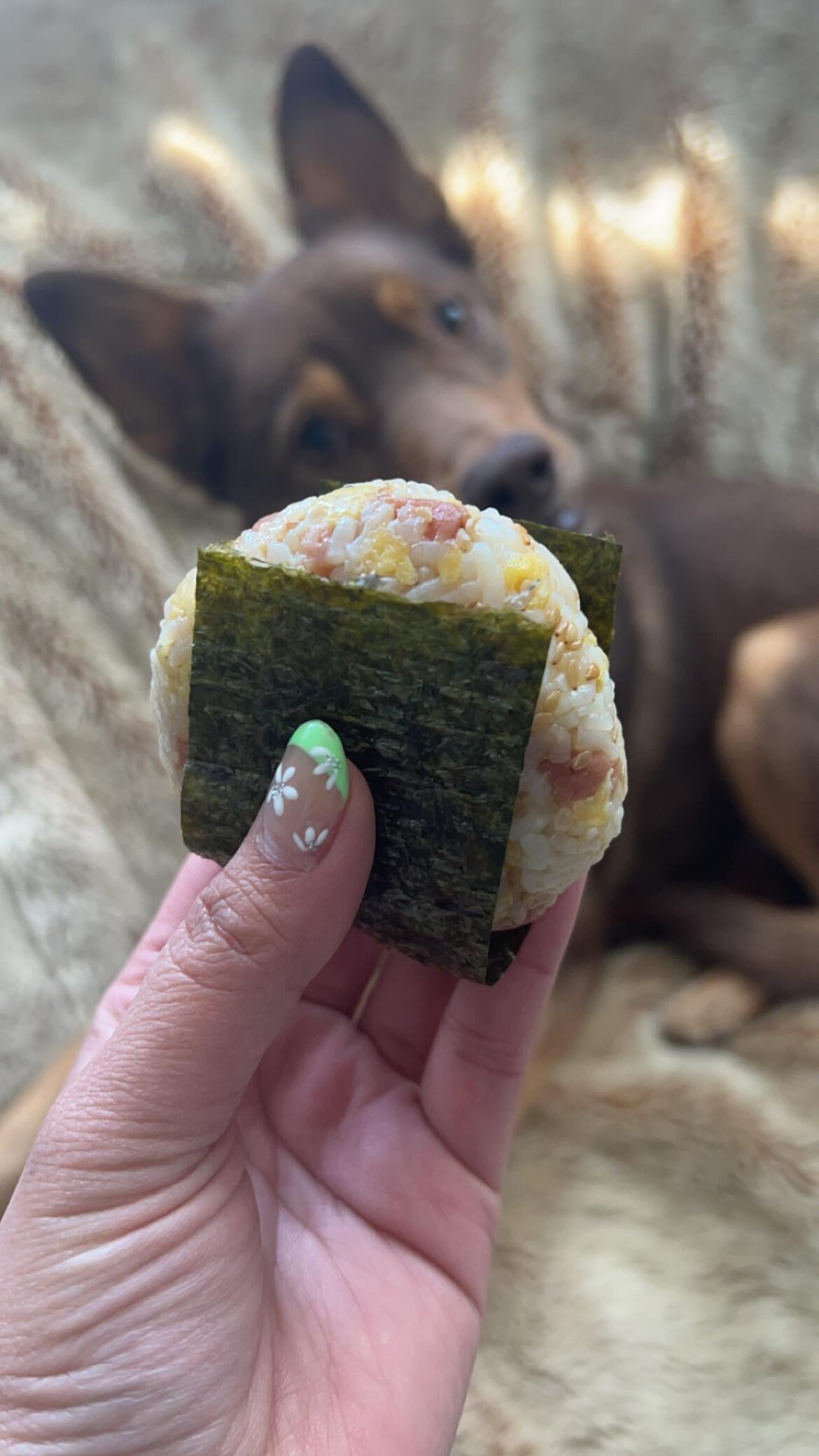 Made a bunch of spam & egg onigiri