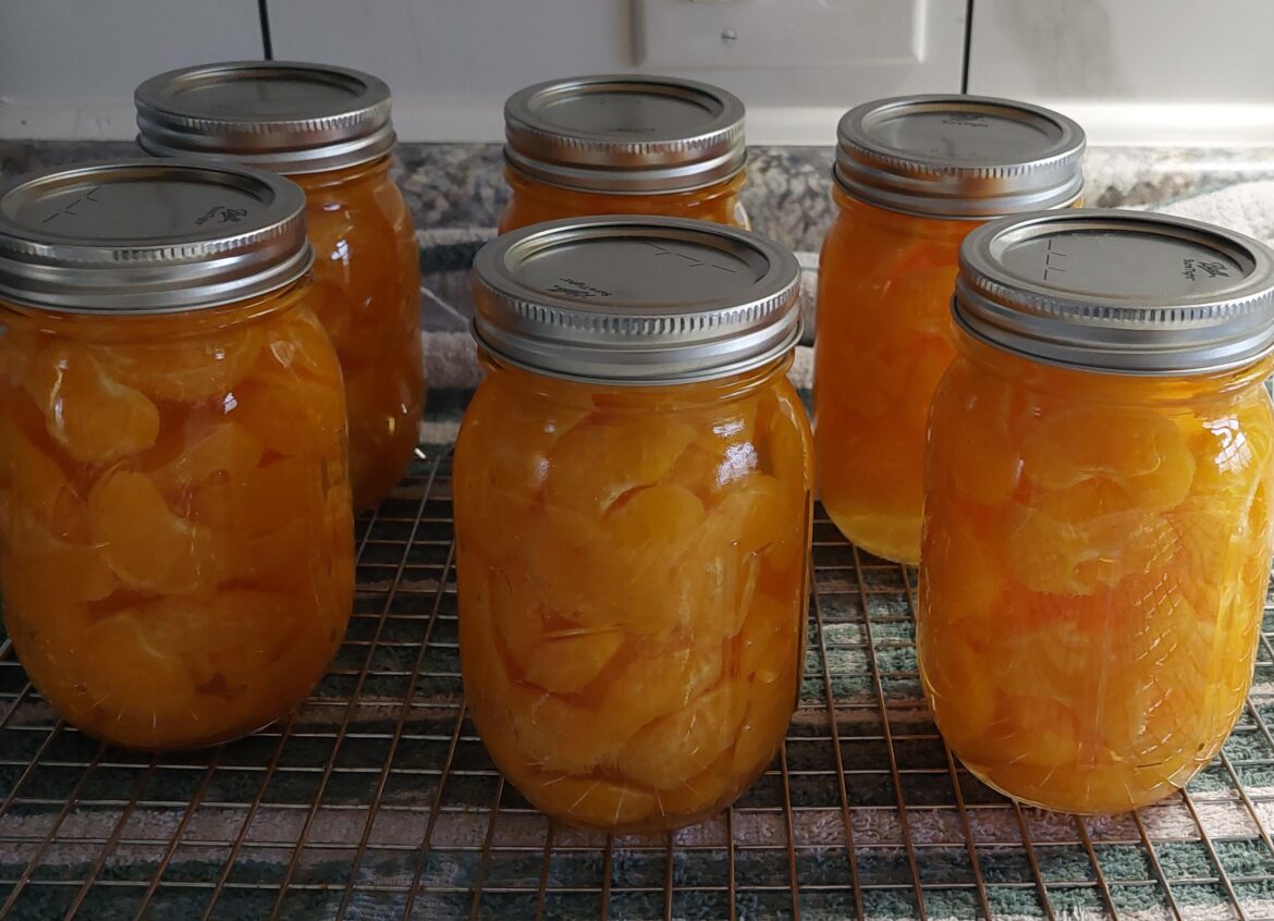 I tried oranges today and I'm happy with how they turned out