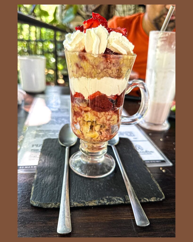 Vegan Food in Costa Rica