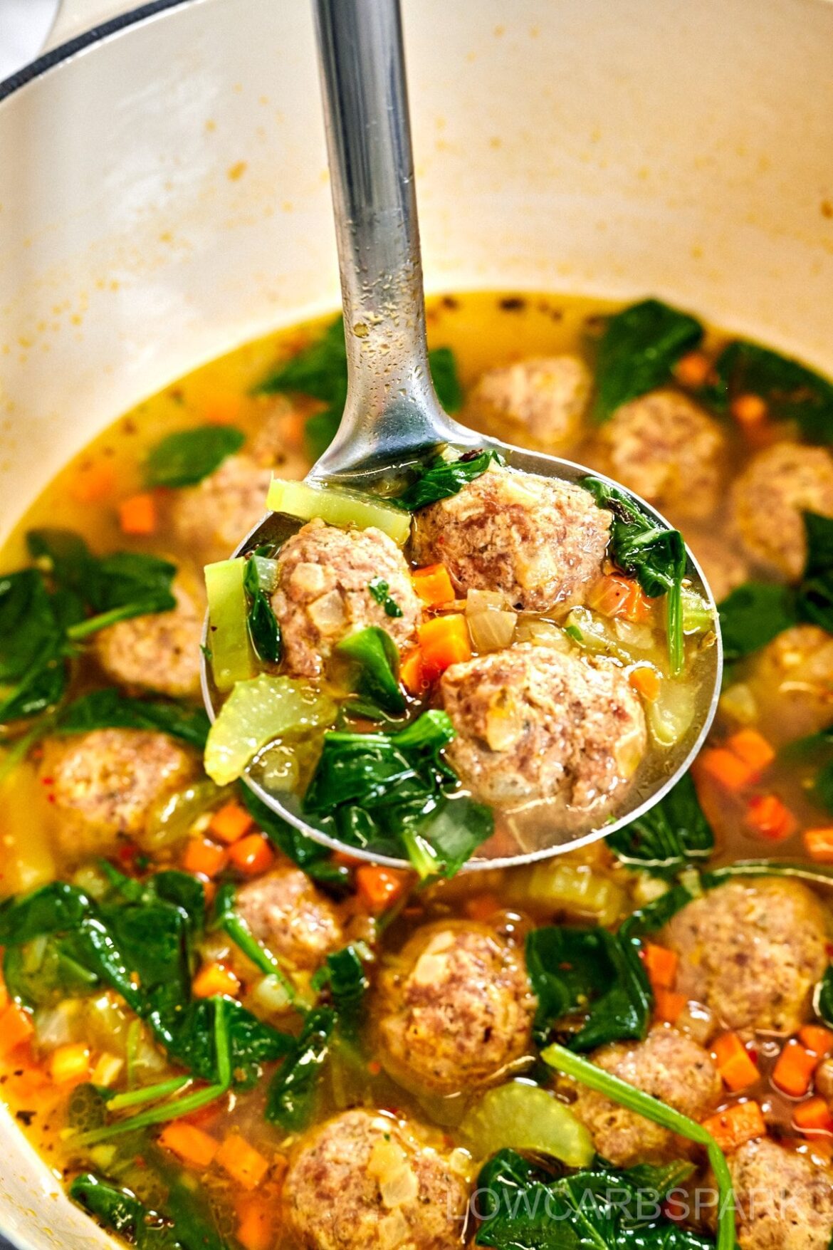 Italian Wedding Soup