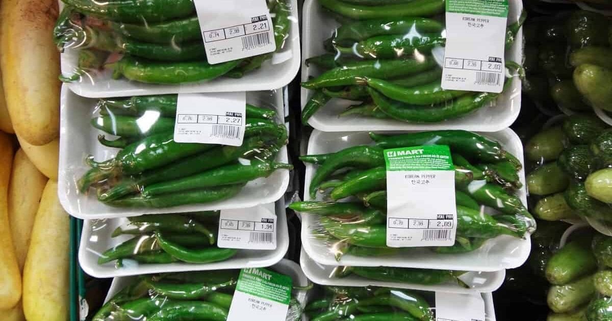 Advice on Pepper Grow Bag Sizes for a few Peppers & Limited Space Dining and Cooking