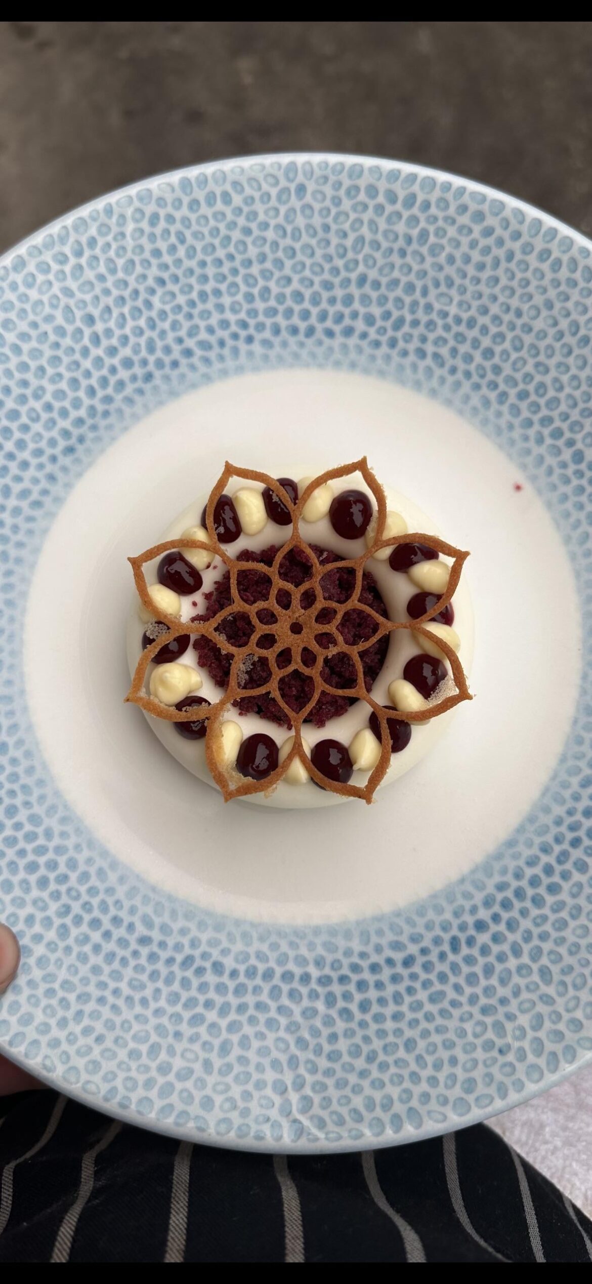 Buttermilk panna cotta, blueberry & lavender granita, blue berry fluid gel, yuzu cremuex, lavender tuile