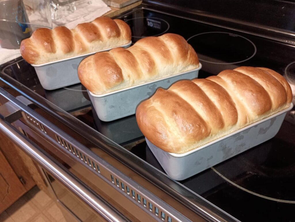 Grandma's Finger Rolls