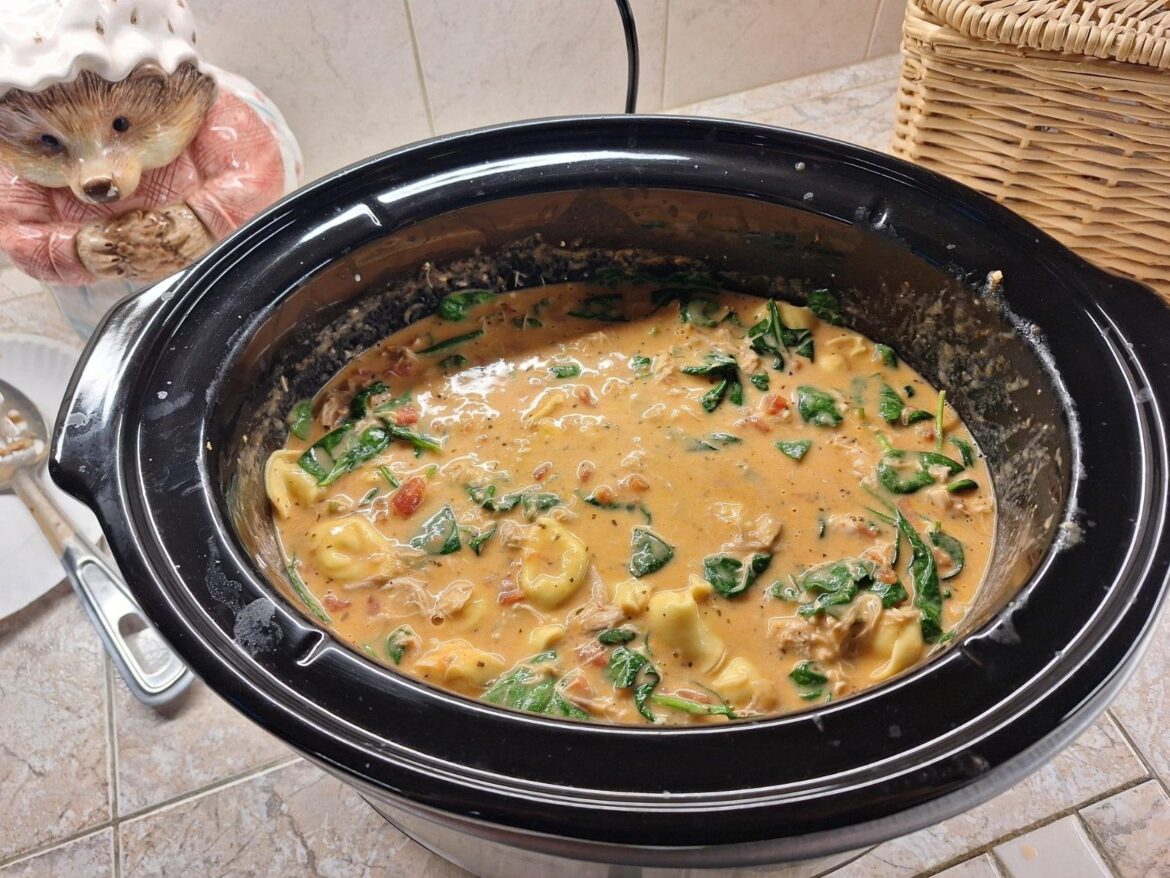 How did "The Soup" become so popular?