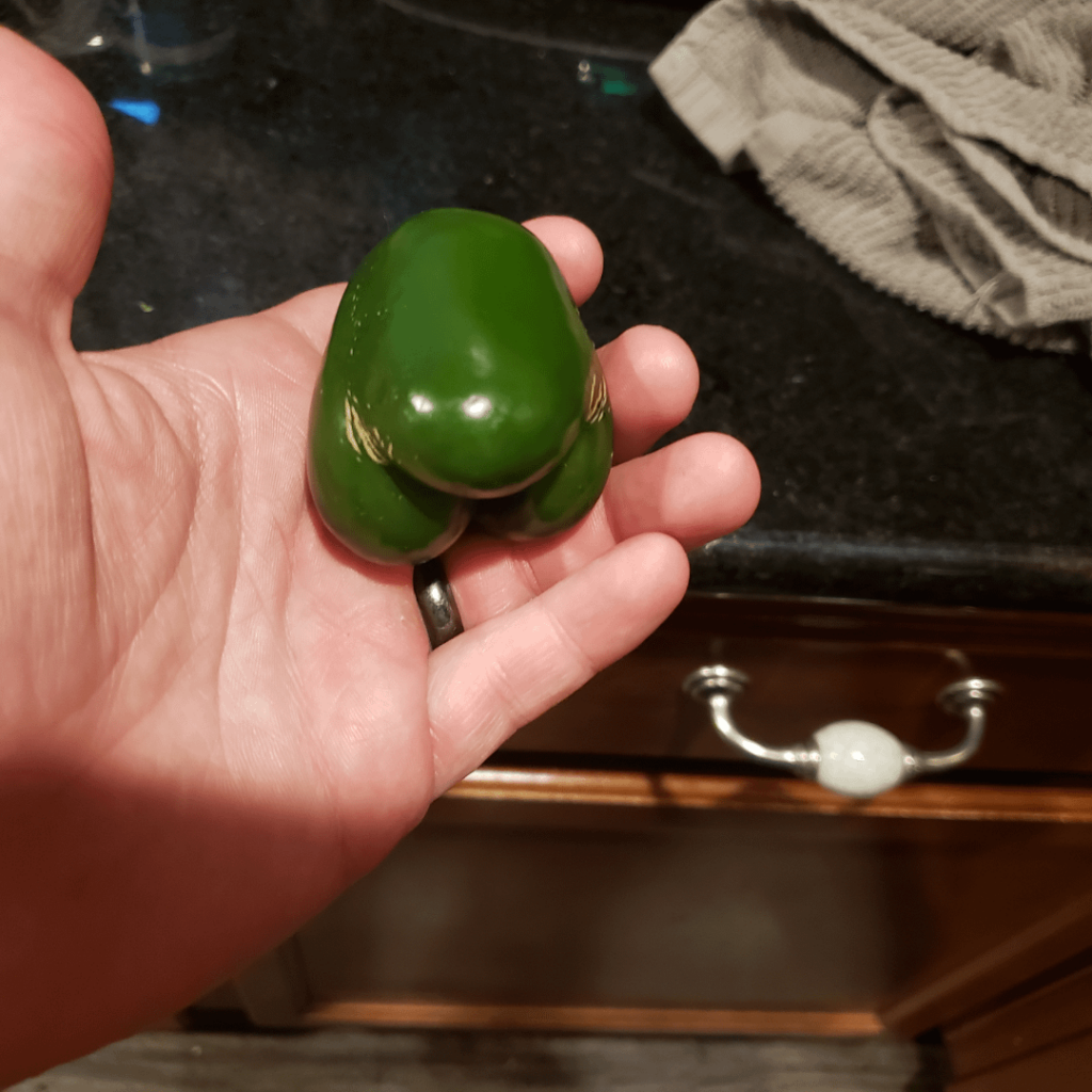 Got some jalapenos to add to some things and found this sus guy.